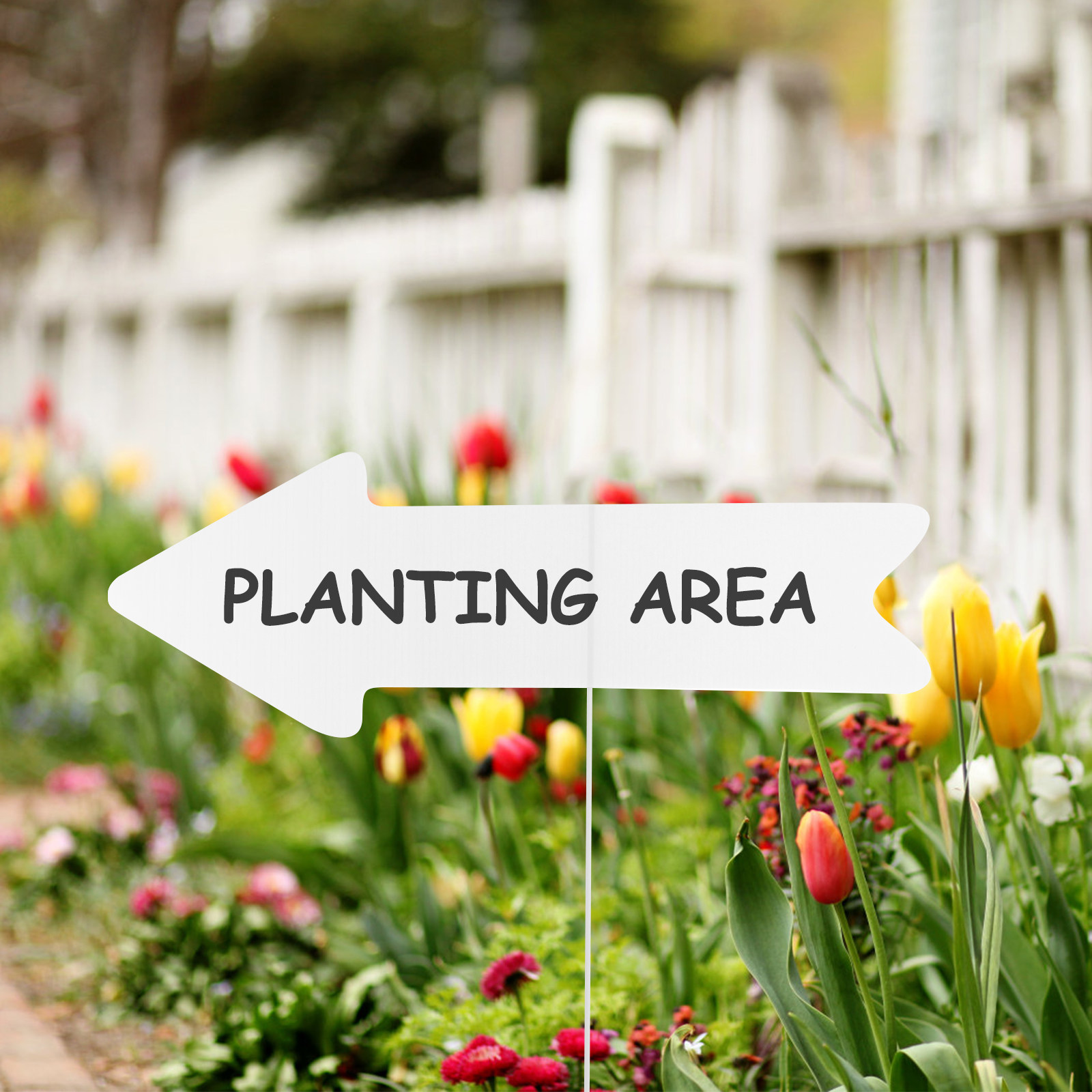 5Pcs Plastic Blank Yard Sign B - Yard Sign Blank review and price